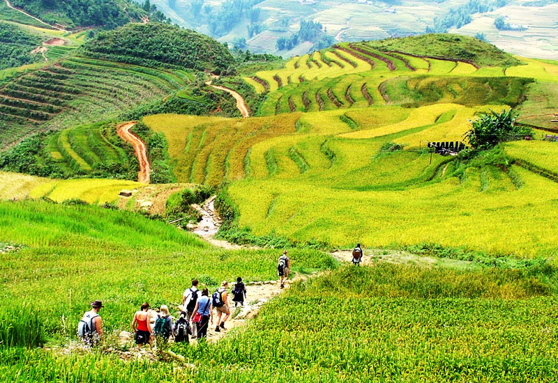 du lịch Sapa 30/4 du lịch Sapa 30/4